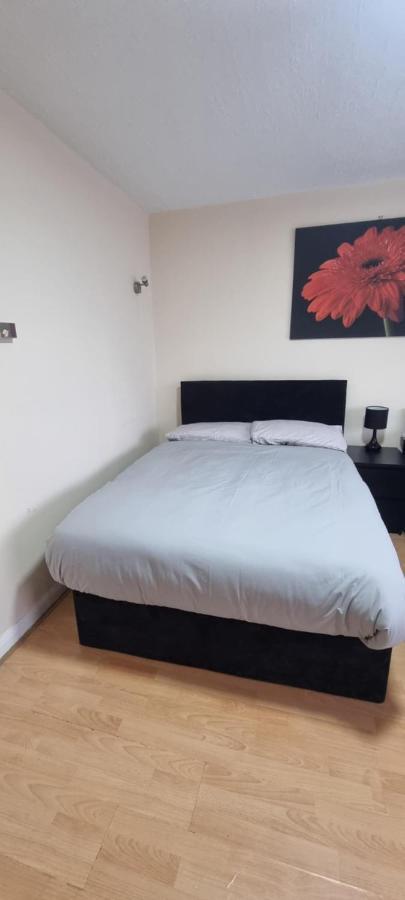 Star Homes London Eksteriør billede